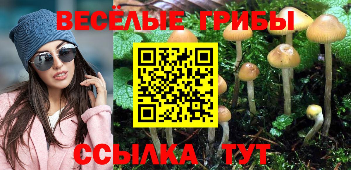 купить наркотики сайты  Псилоцибиновые грибы ЛСД  Москва  Вход с VPN  Псилоцибиновые грибы Psilocybine cubensis 