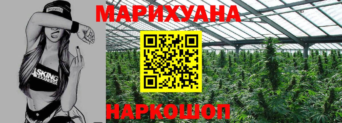 Бошки Шишки конопля Москва